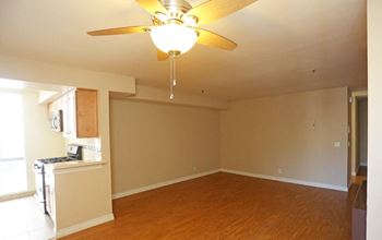 Spacious living room